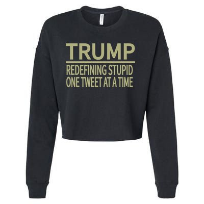 Trump Redefining Stupid Cropped Pullover Crew