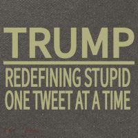 Trump Redefining Stupid Cotton Canvas Backpack