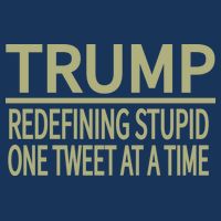 Trump Redefining Stupid Bucket Hat