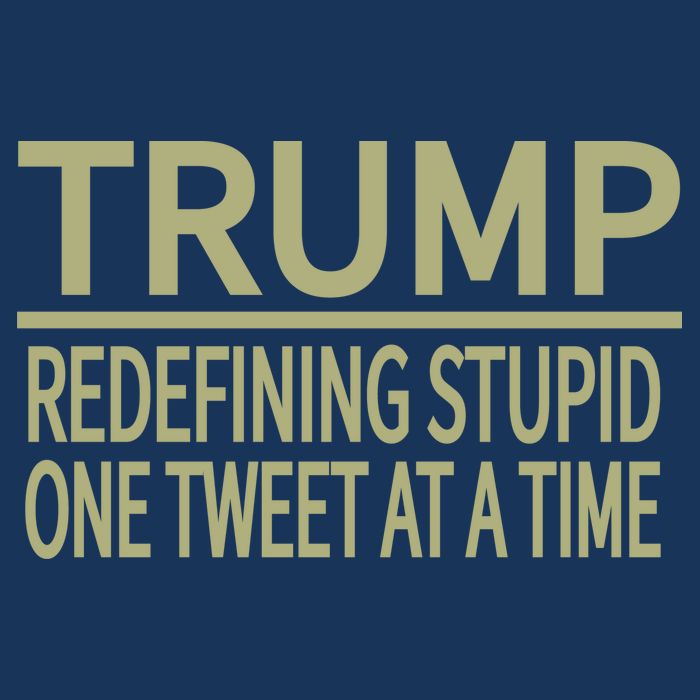 Trump Redefining Stupid Bucket Hat