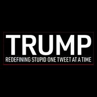 Trump Redefining Stupid One Tweet At A Time 7-Panel Snapback Hat