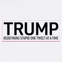 Trump Redefining Stupid One Tweet At A Time Garment-Dyed Sweatshirt