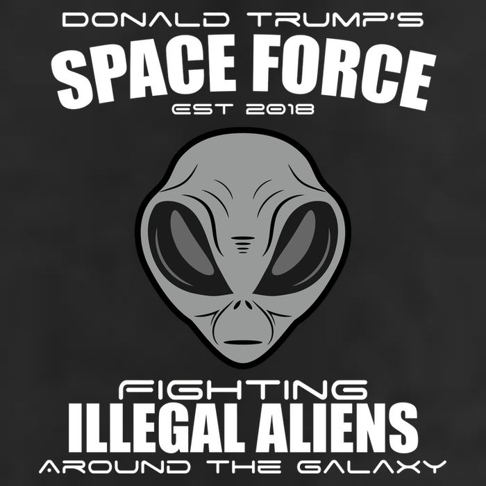 Trump Space Force Team Fight Illegal Aliens Cool Comfort Performance Bucket Hat