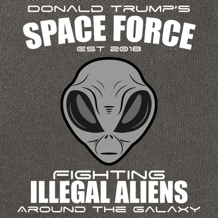 Trump Space Force Team Fight Illegal Aliens Cotton Canvas Backpack
