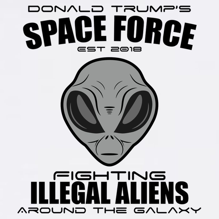 Trump Space Force Team Fight Illegal Aliens Garment-Dyed Sweatshirt