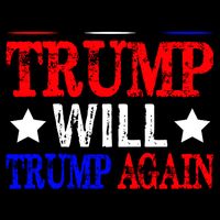 Trump Will Trump Again 16 in Basic Backpack