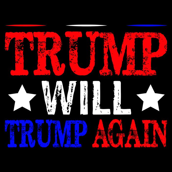 Trump Will Trump Again 16 in Basic Backpack