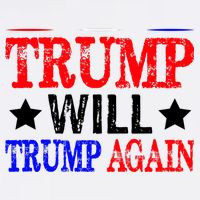 Trump Will Trump Again Mug