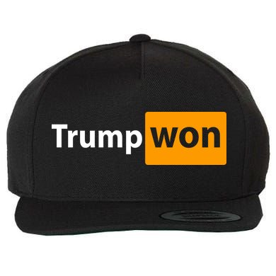 Trump Won Wool Snapback Cap