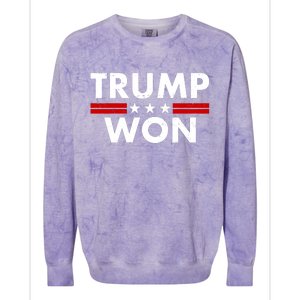 Trump Won 2021 Election Pro Trump Colorblast Crewneck Sweatshirt