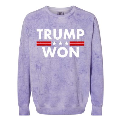 Trump Won 2021 Election Pro Trump Colorblast Crewneck Sweatshirt