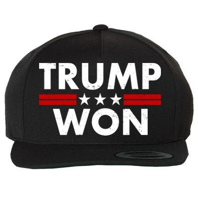 Trump Won 2021 Election Pro Trump Wool Snapback Cap