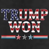 Trump Won American Flag Pro Republican Beanie