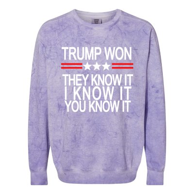 Trump Won They Know It I Know It You Know It Colorblast Crewneck Sweatshirt