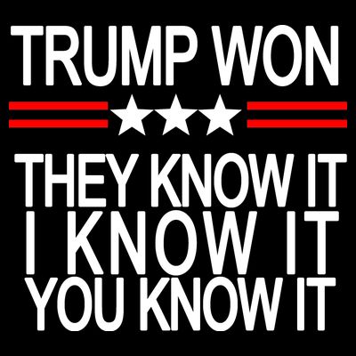 Trump Won They Know It I Know It You Know It T-Shirt