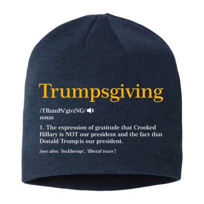 Trumpsgiving Being Thankful for Trump Thanksgiving Sustainable Beanie