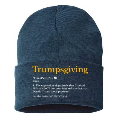 Trumpsgiving Being Thankful for Trump Thanksgiving Sustainable Knit Beanie