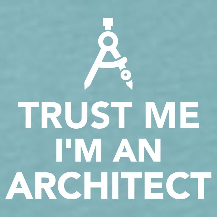 Trust Me I'm A Architect Sueded Cloud Jersey T-Shirt