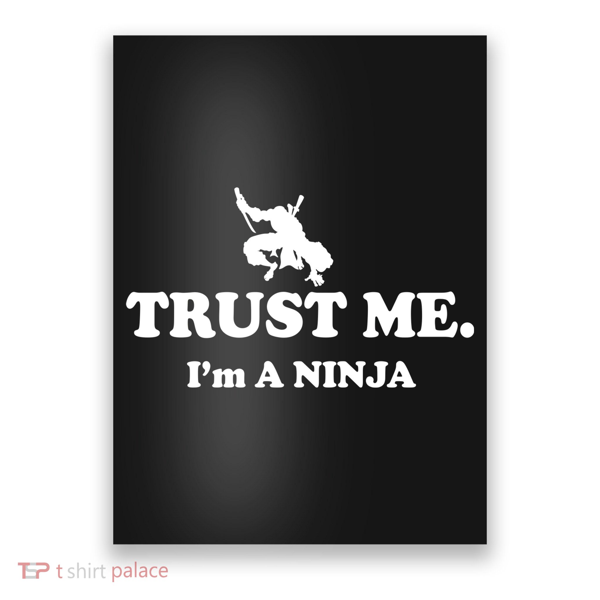 Trust Me I'm A Ninja Poster