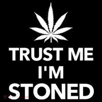 Trust Me I'm Stoned Marijuana Wool Snapback Cap