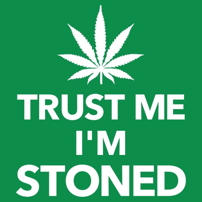 Trust Me I'm Stoned Marijuana Women's V-Neck T-Shirt