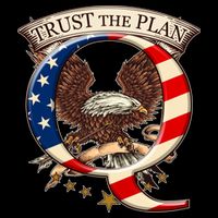 Trust The Plan Qanon American Flag Eagle Cooling Performance Crew T-Shirt
