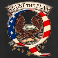 Trust The Plan Qanon American Flag Eagle Adult Drive Performance Visor