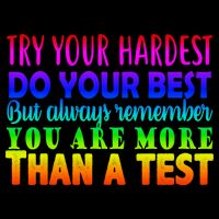 Try Your Hardest On The Test Day Sweatshirt
