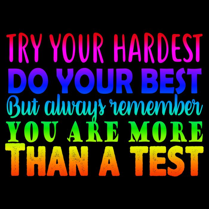 Try Your Hardest On The Test Day Sweatshirt