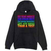 Try Your Hardest On The Test Day Premium Pullover Hoodie