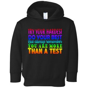 Try Your Hardest On The Test Day Toddler Hoodie