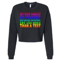 Try Your Hardest On The Test Day Cropped Pullover Crew