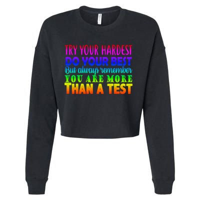 Try Your Hardest On The Test Day Cropped Pullover Crew