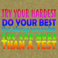 Try Your Hardest On The Test Day Garment-Dyed Women's Muscle Tee