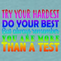 Try Your Hardest On The Test Day Sueded Cloud Jersey T-Shirt