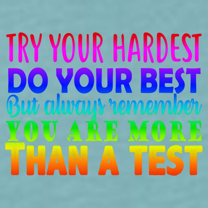 Try Your Hardest On The Test Day Sueded Cloud Jersey T-Shirt