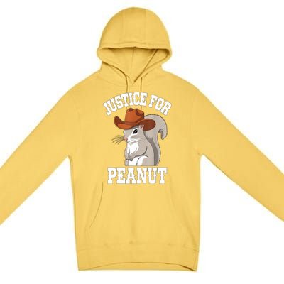 The Squirrel 2024 Justice For Peanut Gift Premium Pullover Hoodie