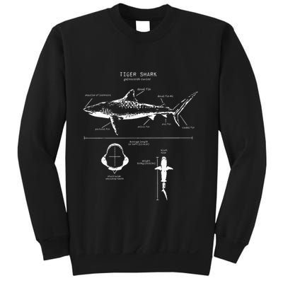 Tiger Shark Anatomy Marine Biologist Sweatshirt