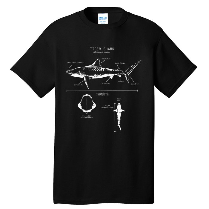 Tiger Shark Anatomy Marine Biologist Tall T-Shirt