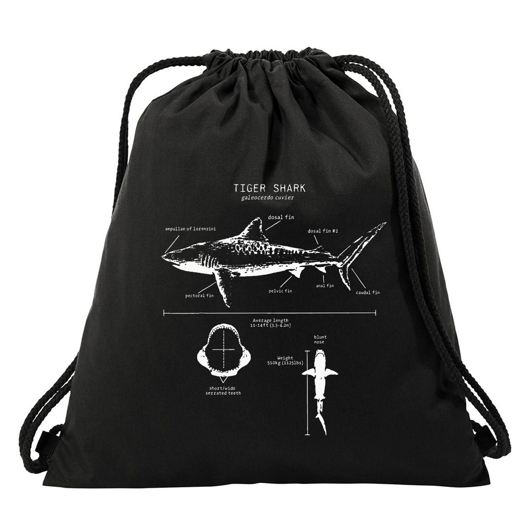 Tiger Shark Anatomy Marine Biologist Drawstring Bag