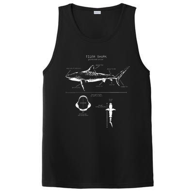 Tiger Shark Anatomy Marine Biologist PosiCharge Competitor Tank