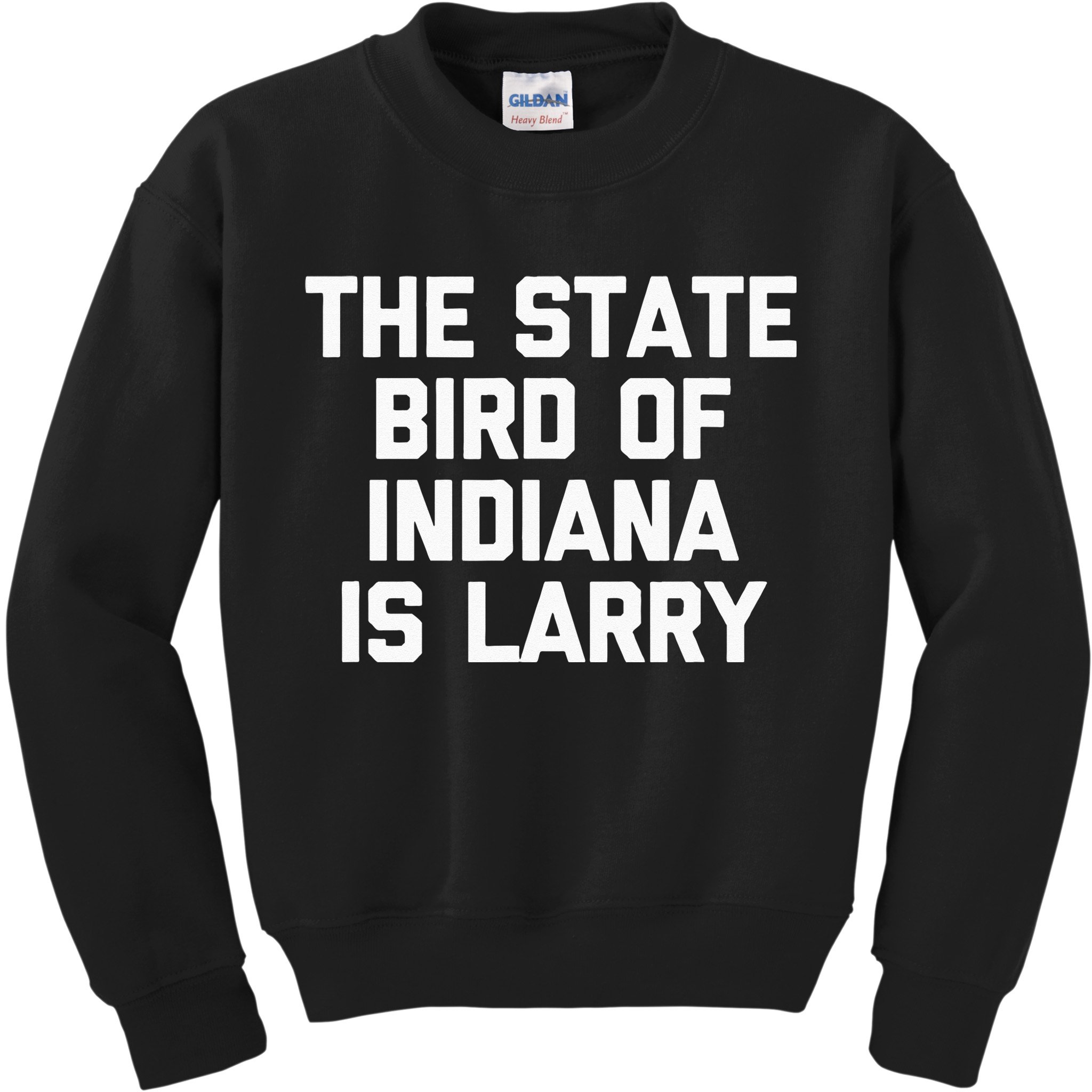 The State Bird Of Indiana Is Larry Funny Basketball Kids Sweatshirt