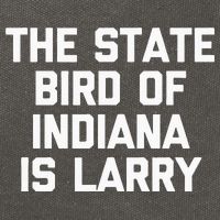 The State Bird Of Indiana Is Larry Funny Basketball Cotton Canvas Backpack