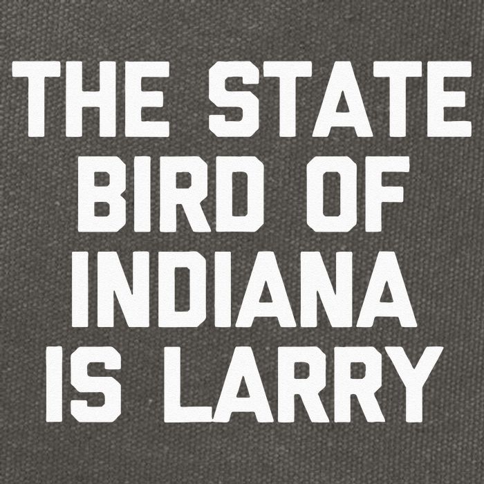 The State Bird Of Indiana Is Larry Funny Basketball Cotton Canvas Backpack