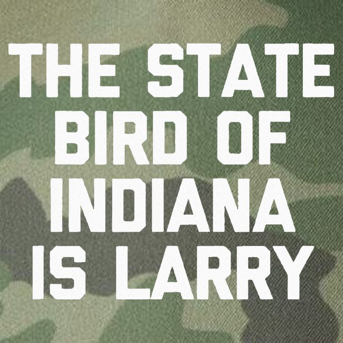 The State Bird Of Indiana Is Larry Funny Basketball Legacy Tie Dye Trucker Hat