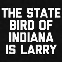 The State Bird Of Indiana Is Larry Funny Basketball Ladies PosiCharge Tri-Blend Wicking Tank