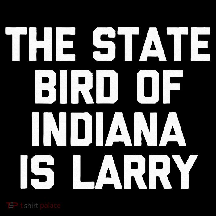 The State Bird Of Indiana Is Larry Funny Basketball Backpack