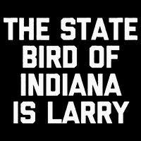 The State Bird Of Indiana Is Larry Funny Basketball Sustainable Bucket Hat