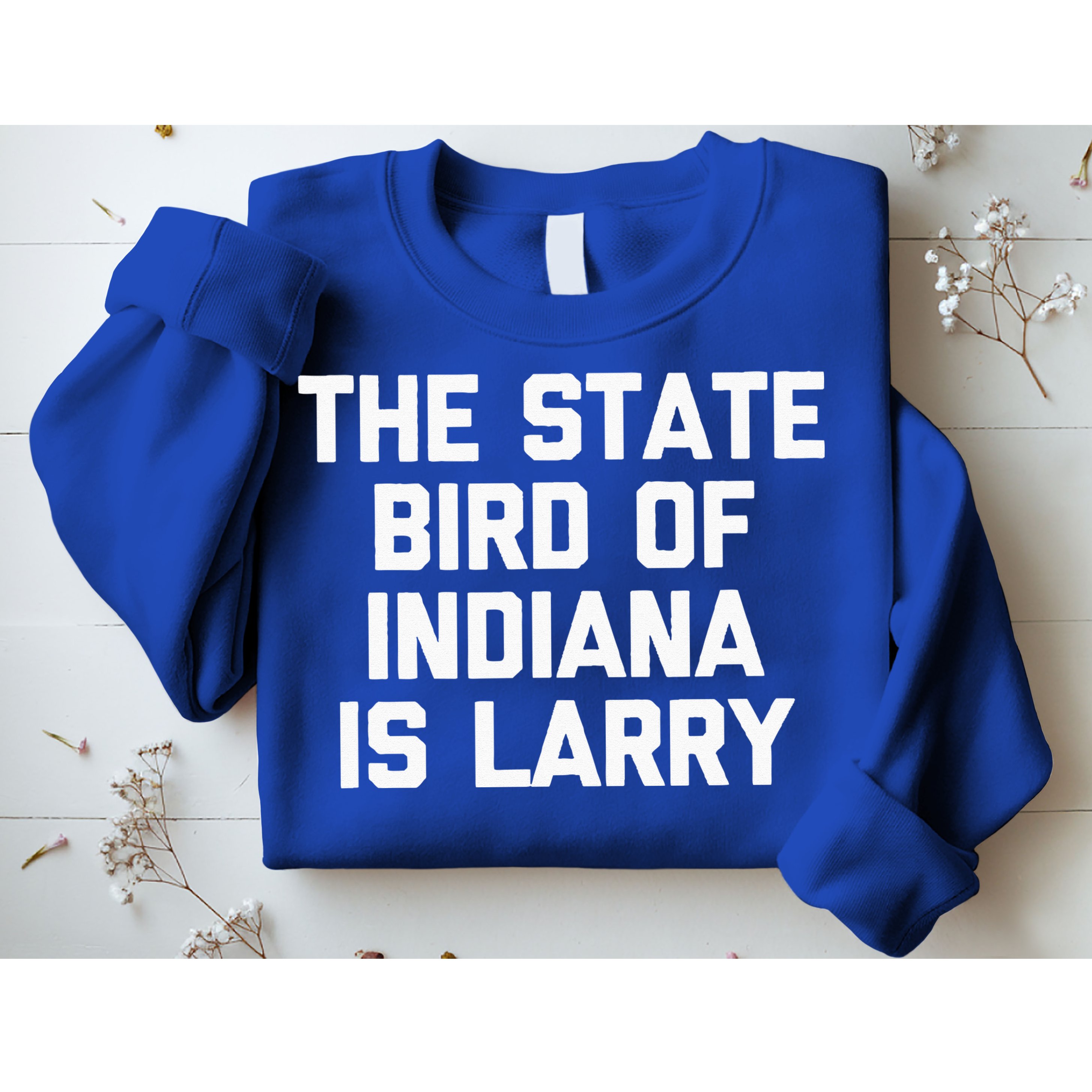 The State Bird Of Indiana Is Larry Funny Basketball Sweatshirt
