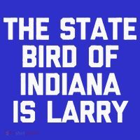 The State Bird Of Indiana Is Larry Funny Basketball Sustainable Beanie